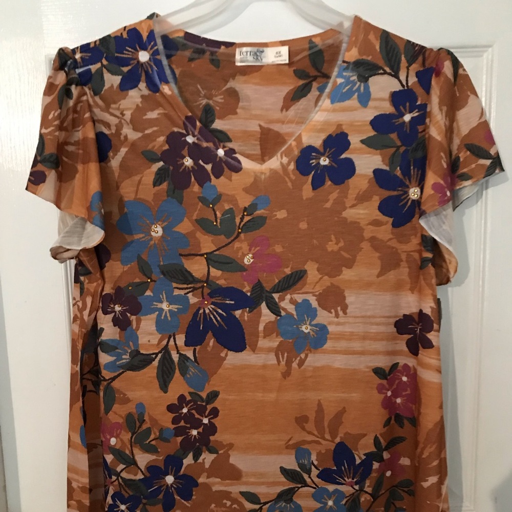 Terra & Sky v-neck, flutter sleeve top